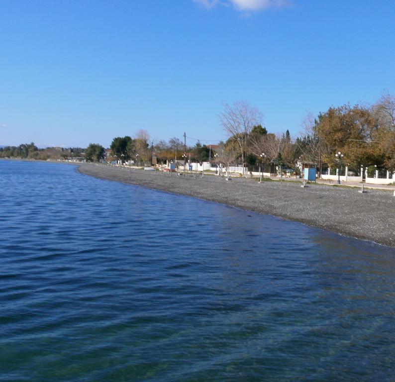 Artemis - Marina Apartments Evia Kamer foto