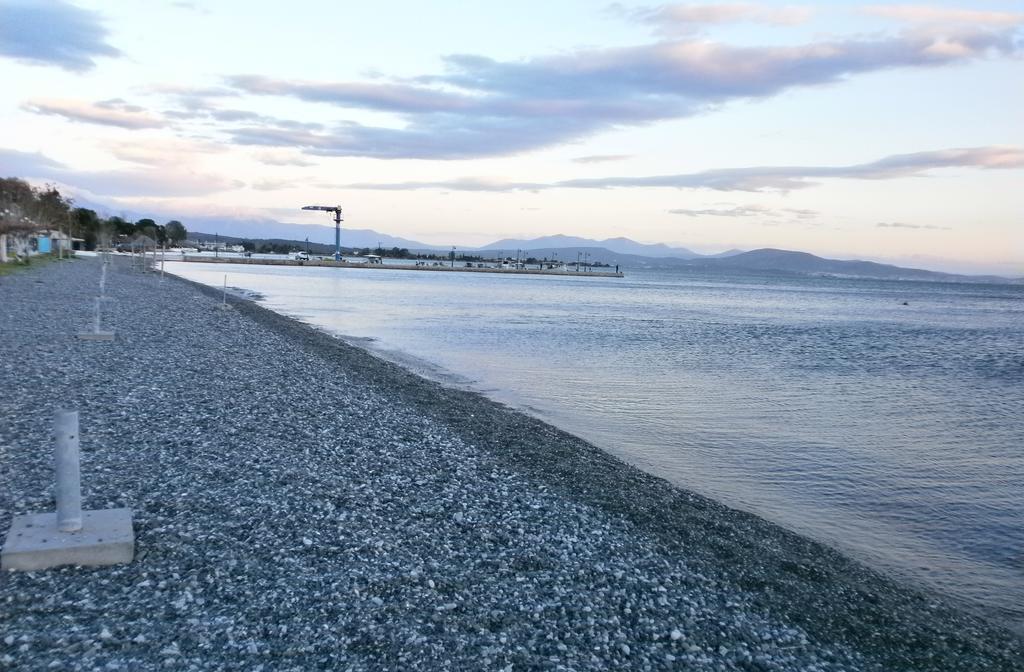 Artemis - Marina Apartments Evia Kamer foto